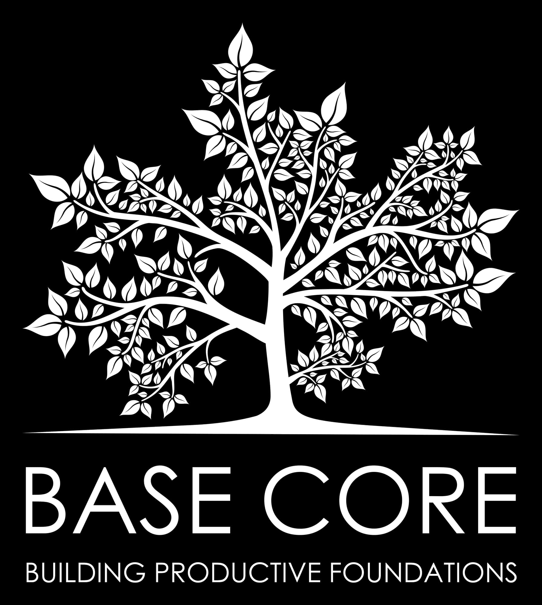 Base Core – Commercial Consulting & Marketing